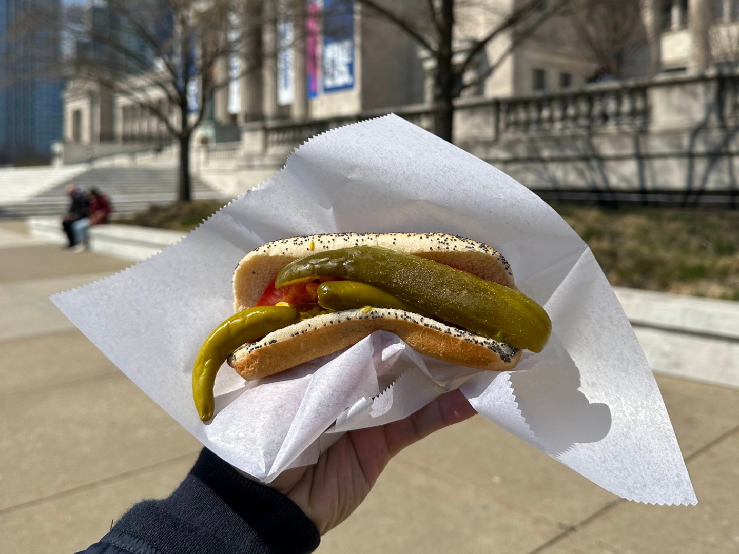 Chicago Dog