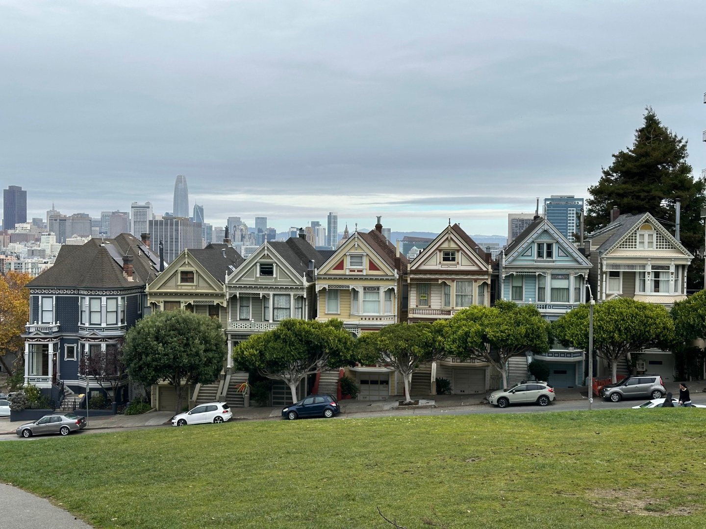The Painted Ladies
